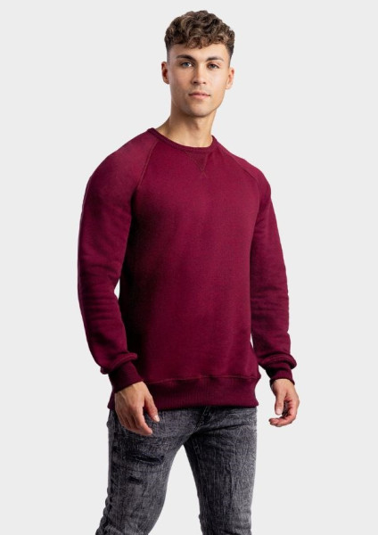 L&S Heavy Sweater Raglan Crewneck for him