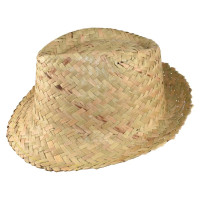 Camel (PMS 466c) / Camel