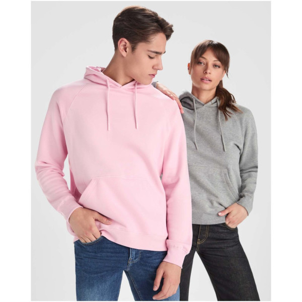 Vinson 300 g/m² biologisch katoenen unisex hoodie